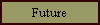 Future