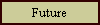Future